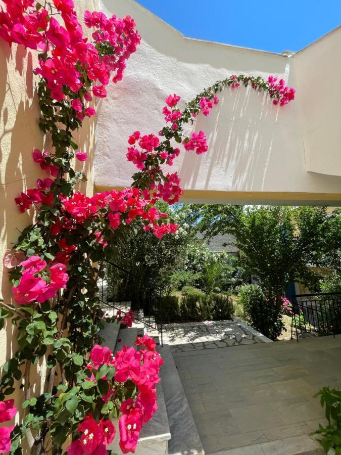 Sunflower Apartments & Studios Kassiopi Luaran gambar